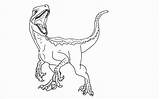 Jurassic Indominus Velociraptor Raptor Coloringhome Indoraptor Dinosaurier Jet Raptors Template sketch template