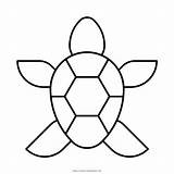 Kura Turtle Tartaruga Tortuga Desenho Colorear Sketsa Putih Hitam Ultracoloringpages Ultra Pngwing Xcolorings W7 sketch template