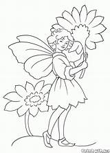 Fata Fiori Fairies Hadas Fada Fate Hada Elves Colorkid Elfi Blumen Feen Elfen Duendes Prato Animato Fiore Fadas sketch template
