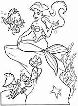 Sirenetta Colorare Flounder Disegno Soi Dacolorare sketch template