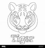 Tiger sketch template
