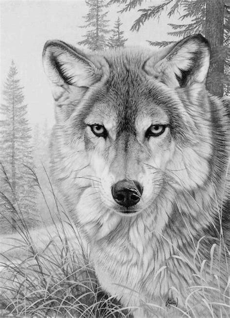 printable wolf realistic animal coloring pages diamond skips