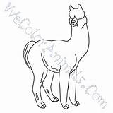 Coloring Alpaca Pages Click sketch template