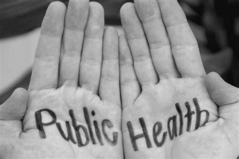 eligibility  studying public healtheducational qualification