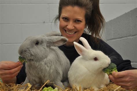 love is in the air for reaseheath rabbits reaseheath college