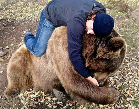 share a bear hug