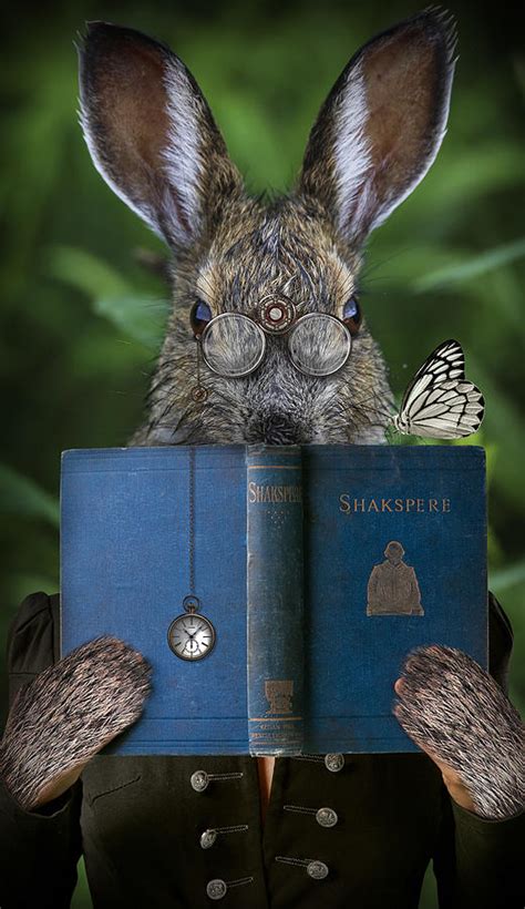 a rabbit reading a book digital art by mihaela pater