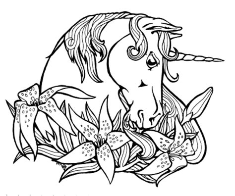 ideas  unicorn printable coloring pages home