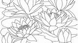 Monet Coloring Pages Claude Water Lilies Printable Color Drawing Getdrawings Evening Getcolorings Template sketch template