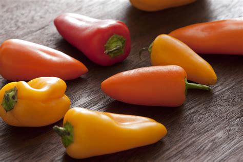 colourful orange mini sweet peppers  capsicum  stock image