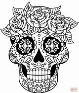 Calavera Calaveras Colorear Skulls Kleurplaten Colouring Muertos Mexicanas Dia Supercoloring Kleurplaat Intricate Suger Druckbare Cartoons Cane Mexikanische Zuckerschädel Colorear24 Categorieën sketch template