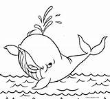 Ballenas Wal Wieloryb Kolorowanka Morzu Shark Druku Spraying Drucken Cool2bkids Everfreecoloring Calcar Jumping Obrazek Pokoloruj Drukowanka Malowankę Wydrukuj sketch template