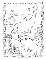 Dolphin Coloring Pages Dolphins Drawing Easy Animal Color Kids Books Preschool Sheets Simple Draw Choose Board Crayola sketch template
