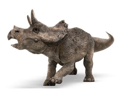 triceratops extinct animals