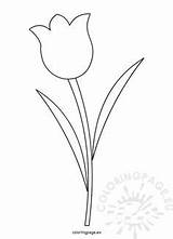 Template Printable Flower Tulip Flowers Templates Tulips Coloring Kids Pages Spring Easy Patterns Drawing Craft Stems Applique Projects Leaf Single sketch template