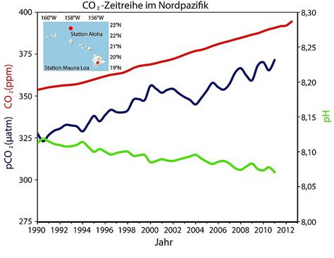 ozeanversauerung deutsches klima konsortium