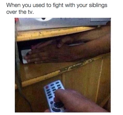 20 memes about growing up with siblings thethings