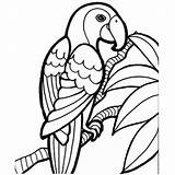 Parrot Colorful Cardboard Cutout Coloring sketch template