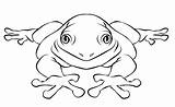 Animal Frogs Anaxyrus Coloringfolder sketch template