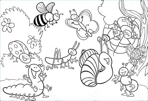 realistic insect coloring pages  getdrawings