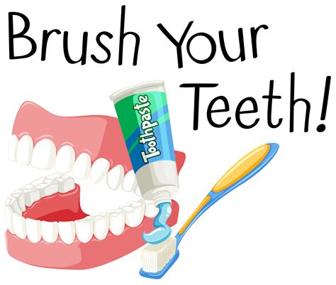 brush  teeth  toothbrush  paste  vector art  vecteezy