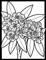 Coloring Pages Flower Adult Stained Glass Flickr Rhododendron Book Dover Publications Wildflowers Laurel Sheets Sampler Colouring Bold Color Flowers Nature sketch template
