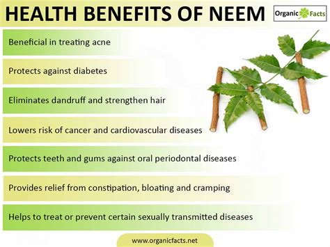 Impressive Benefits Of Neem Organic Facts Hot Sex Picture