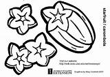 Starfruit Coloring Pages Large sketch template