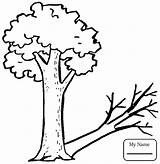 Coloring Desert Plants Pages Shadow Tree Watering Drawing Getdrawings Getcolorings sketch template