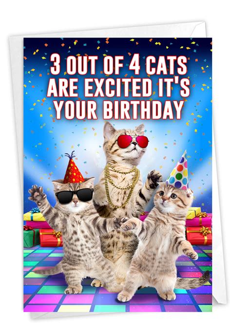 funny birthday card  envelope cat card bday humor cbdg