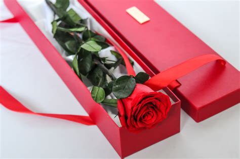 xo single long stem rose box fleur house london