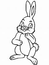 Hare Liebre Hares Lepre Conejo Colorat Pintar Fise Iepurasi Designlooter กระ ต าย Planse sketch template