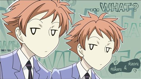 hikaru y kaoru hitachiin personajes anime taringa