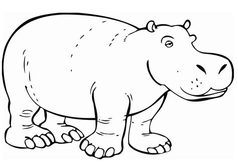 hippo coloring pages gif coloring pages