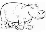 Hippo Coloring Pages Kids Printable Print sketch template