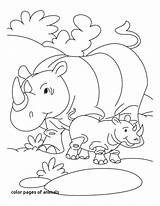 Coloring Pages Rhinoceros Baby Rhino Kids Printable Animal Colouring Animals Zoo Color Endangered Rhinos Sheets Cartoon Big Print Five Pointillism sketch template