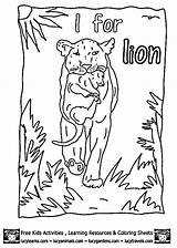Wombat Coloring Stew Colouring Pages Comments Library Clipart sketch template