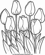 Spring Coloring Pages Obtain Depending Effects Various Card Use sketch template