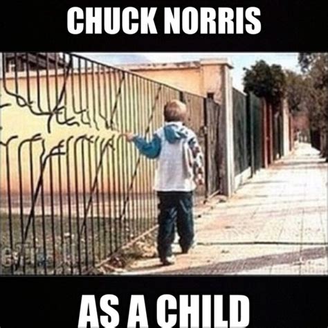{2019} chuck norris memes most viral collection from