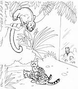 Coloring Pages Monkey Howler Color Zoo Scene Monkeys Jungle Realistic Tree Wildlife Primate Print Animals Sketch Drawings Animal Back Popular sketch template