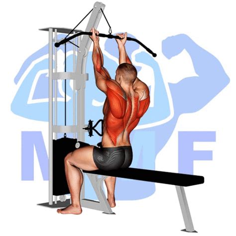 supinated lat pulldown instructions execution tips form