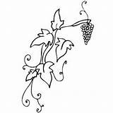 Coloring Vine Grape Grapevine Pages Drawing Printable Print Getcolorings Visit sketch template