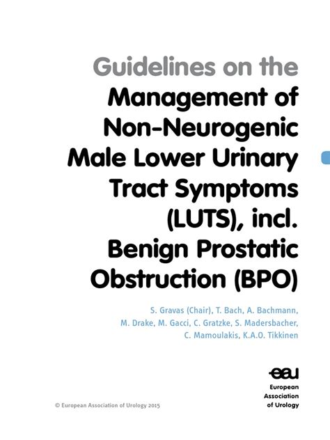 Eau Guidelines Non Neurogenic Male Luts Guidelines 2015 V2 Pdf