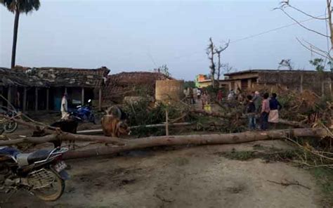 died    injured   strong storm hit  southern districts  nepal
