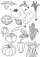 Legumes Légume Rigolo Coloring sketch template