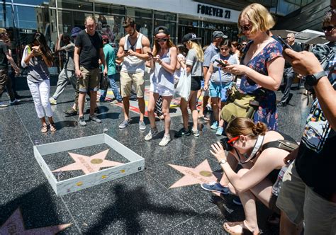 artist builds mini wall around trump s hollywood walk of fame star