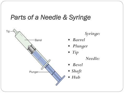 parts   needle  syringe