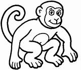 Monkey Coloring Pages Printable Template Kids Monkeys Cute Color Getcoloringpages Templates Colouring Sheet Animal sketch template
