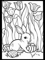 Coloring Pages Easter Bunny Spring Colouring Dover Publications Kids Printable Színez Book Sheets Books Rabbits Bunnies Printables Flowers Welcome Color sketch template