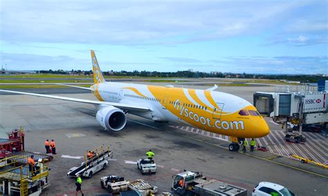 scoot axes   flights   weeks   march  miles